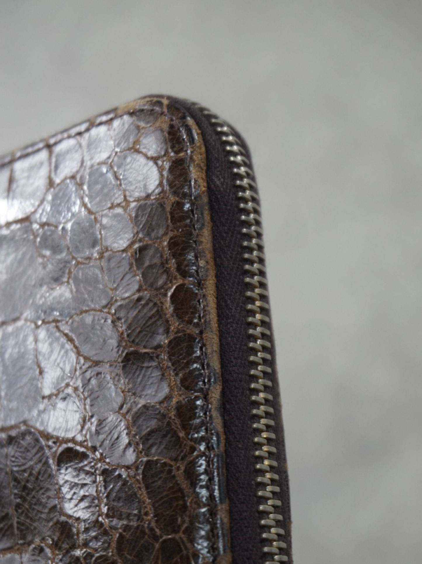 Portefeuille Miu Miu