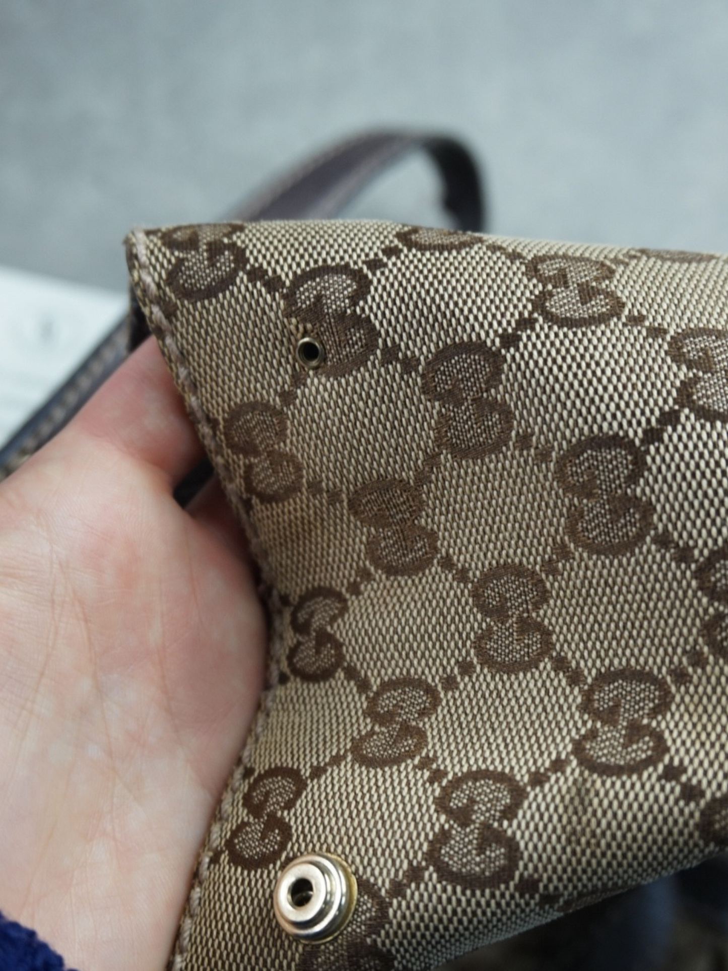 Sac à main Gucci GG canvas new ladies web tote bag