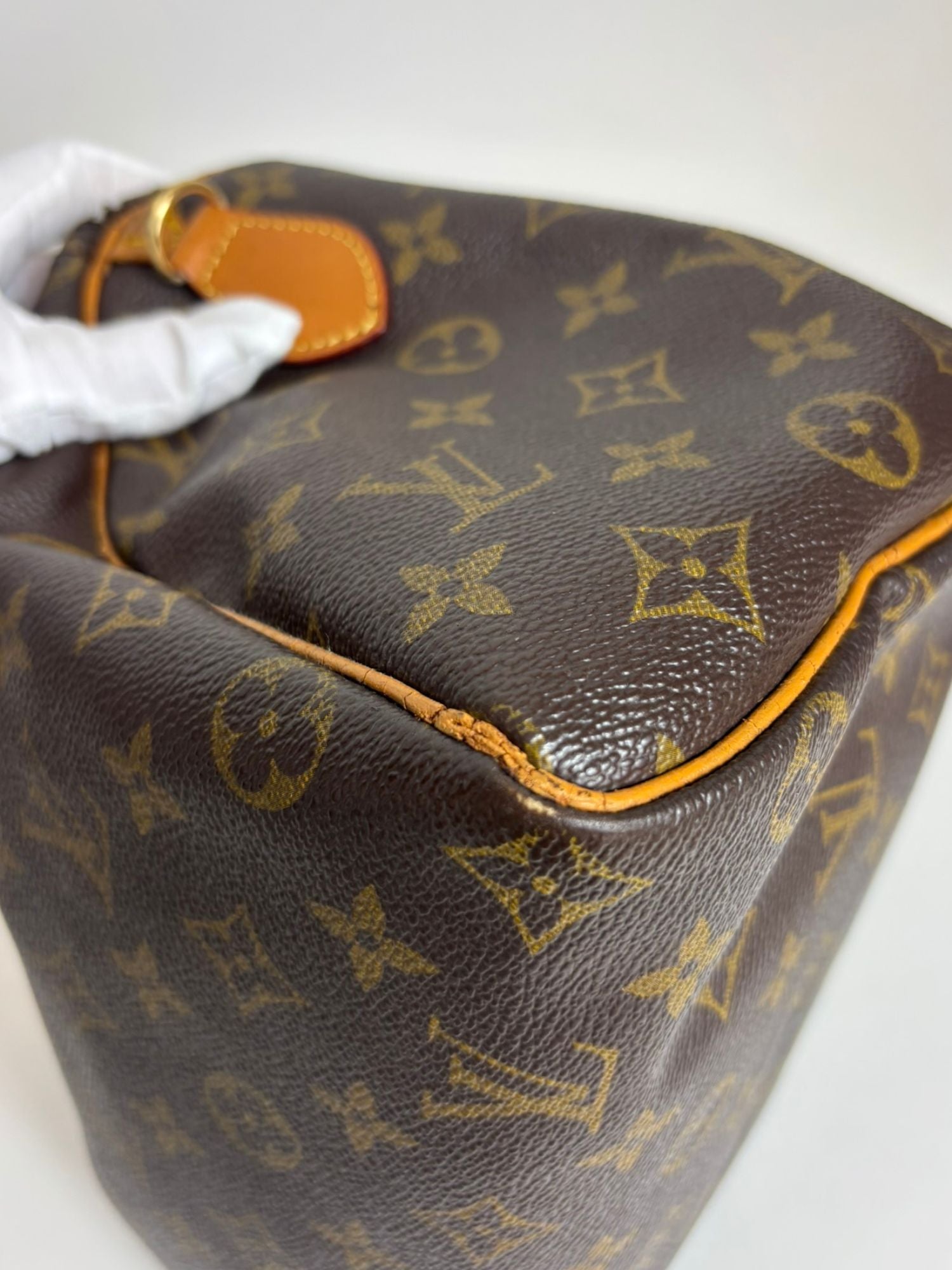 Sac Speedy 25 Louis Vuitton