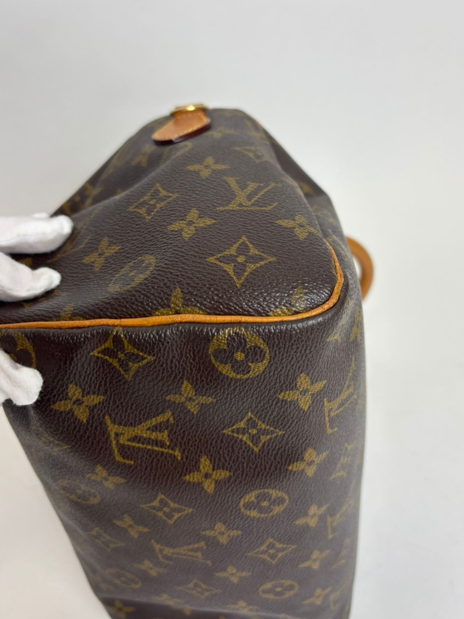 Sac Speedy 25 Louis Vuitton