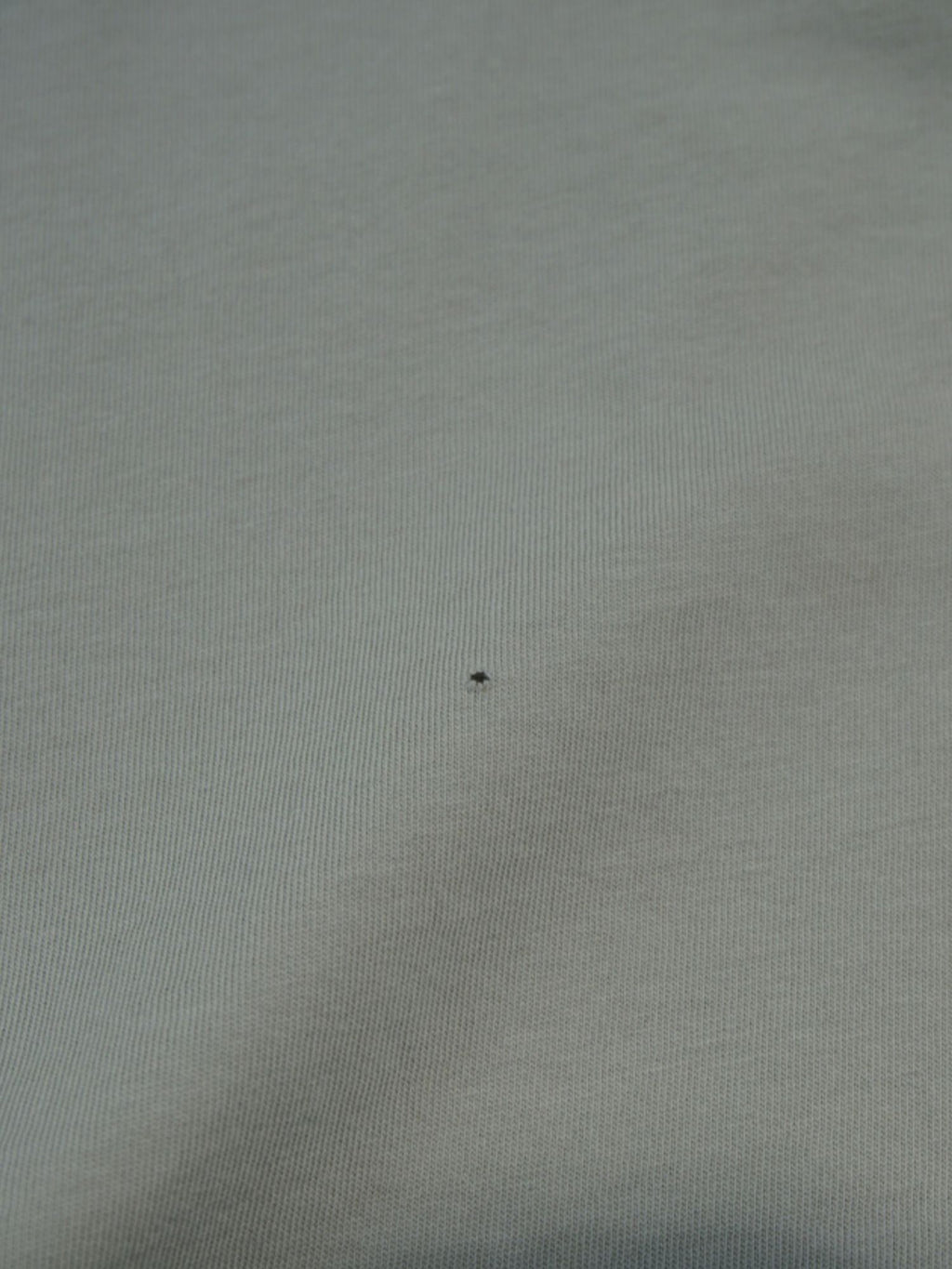 T-shirt CP Company gris/beige (M/L)