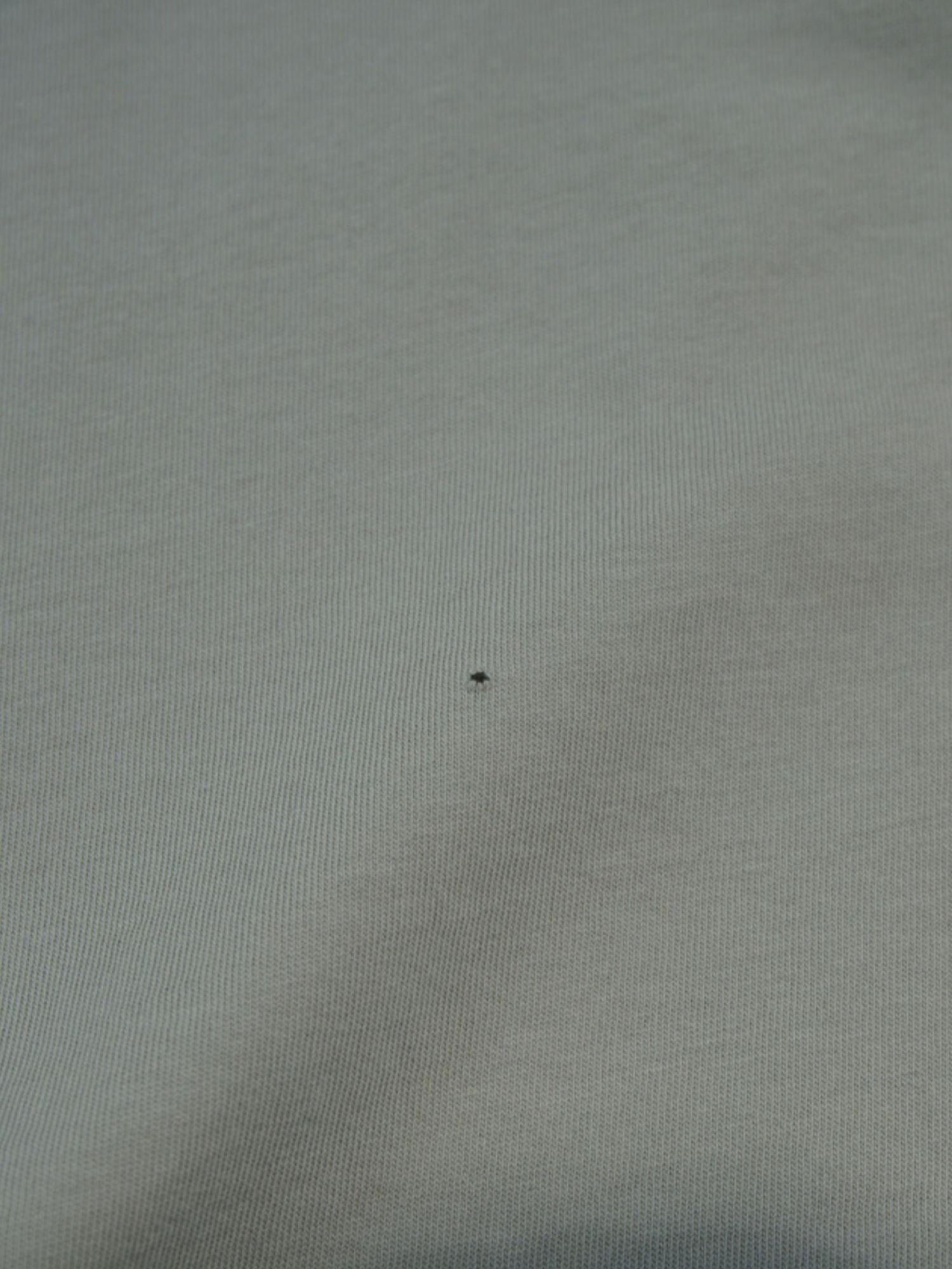 T-shirt CP Company gris/beige (M/L)