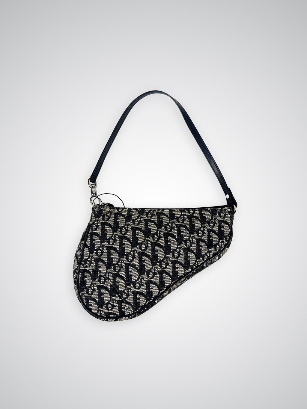 Sac Saddle Dior