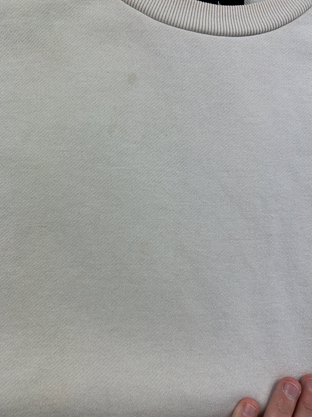 Sweat Evisu (L)