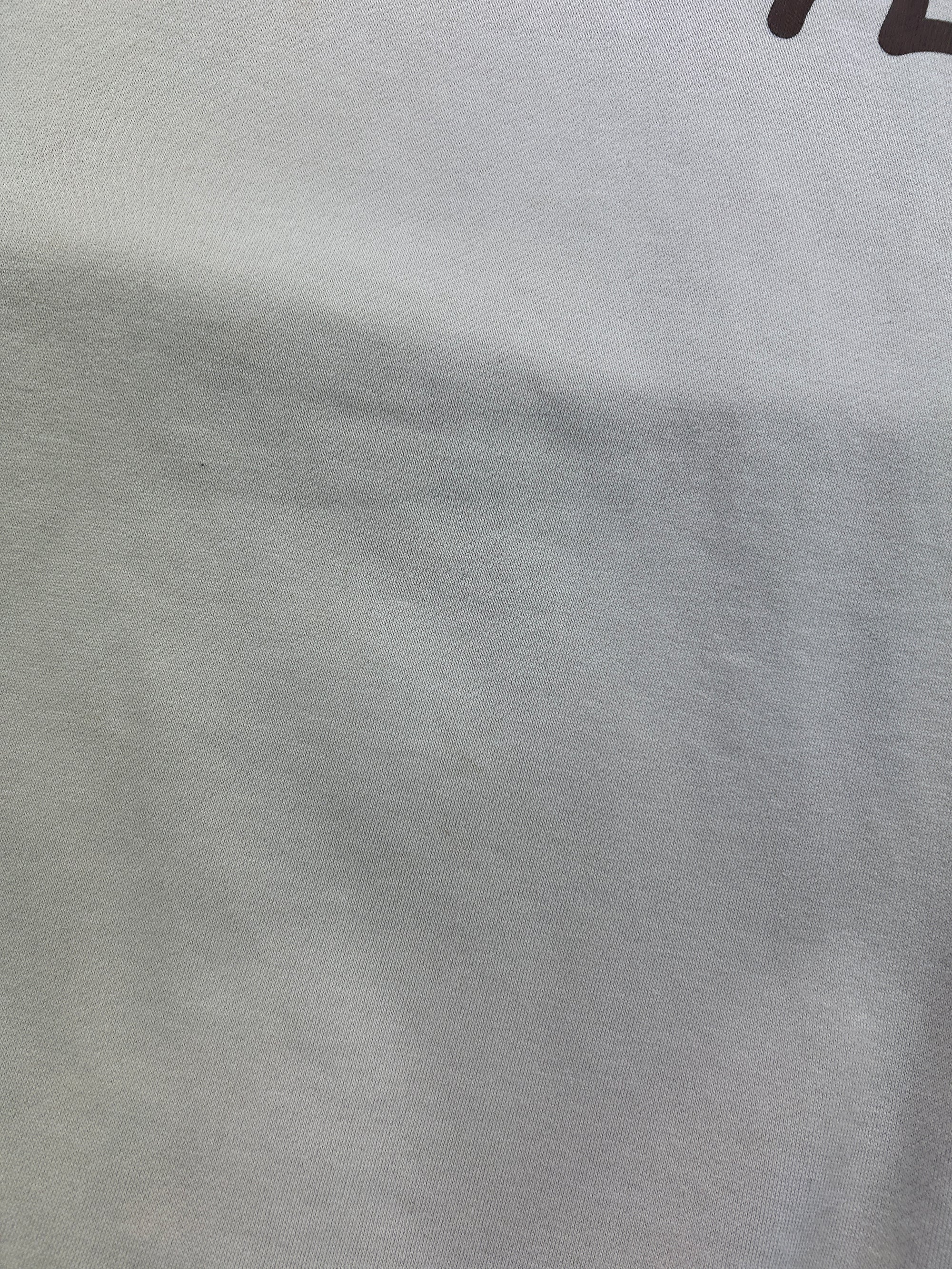 Sweat Evisu (L)