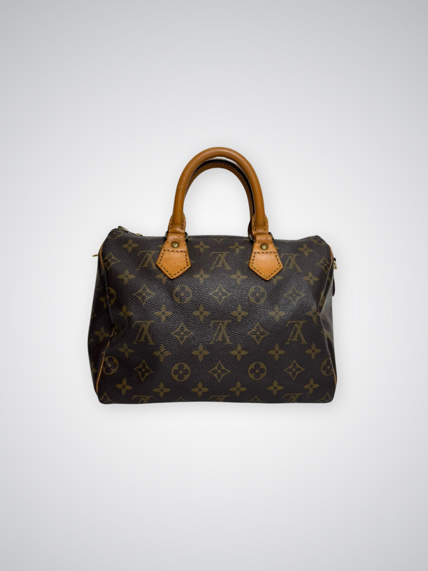 Sac Speedy 25 Louis Vuitton