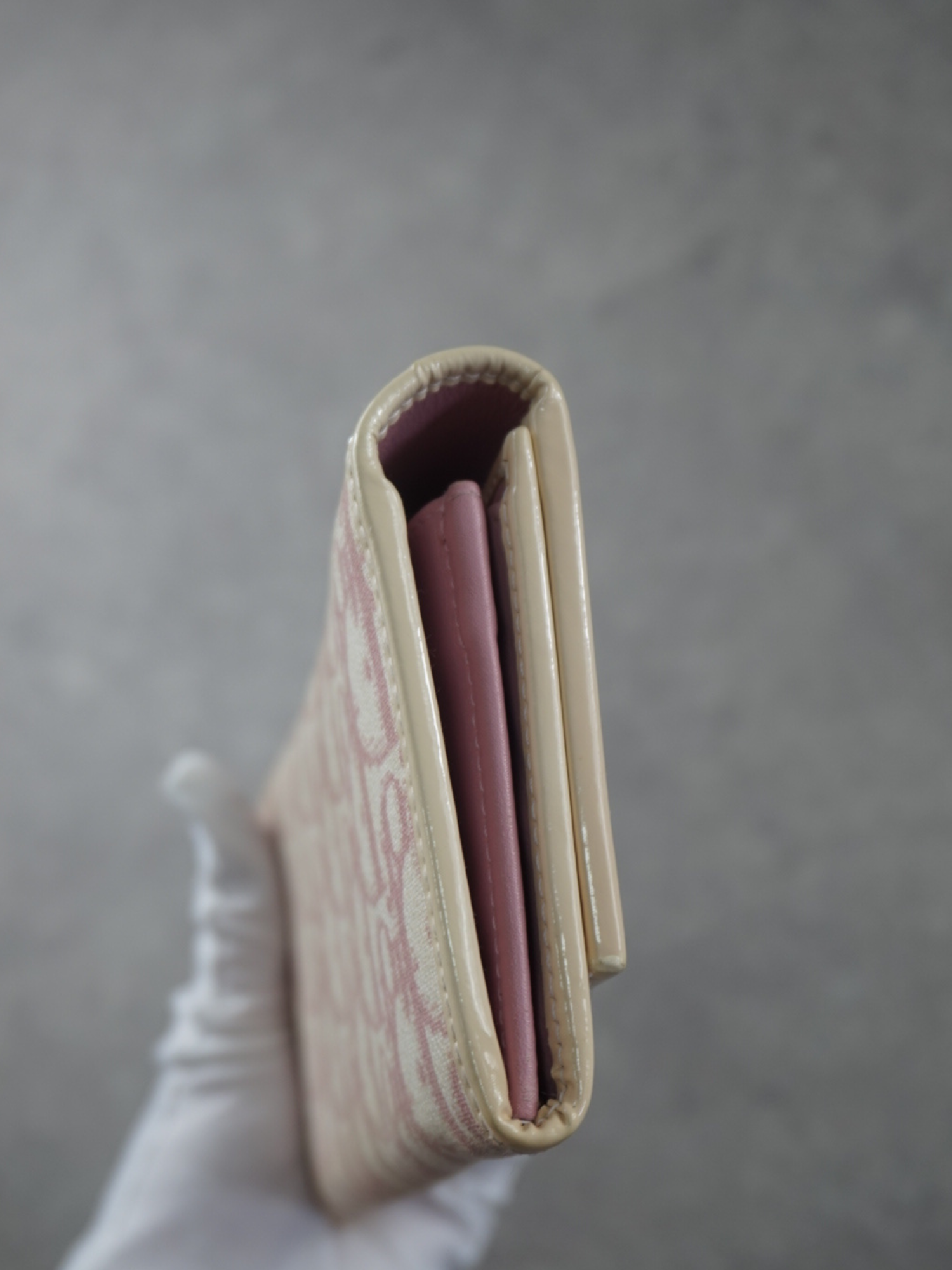 Portefeuille Dior Trotter