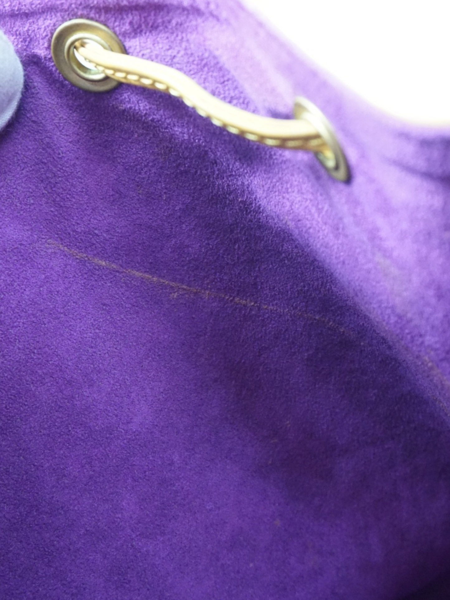 Louis Vuitton Noé GM