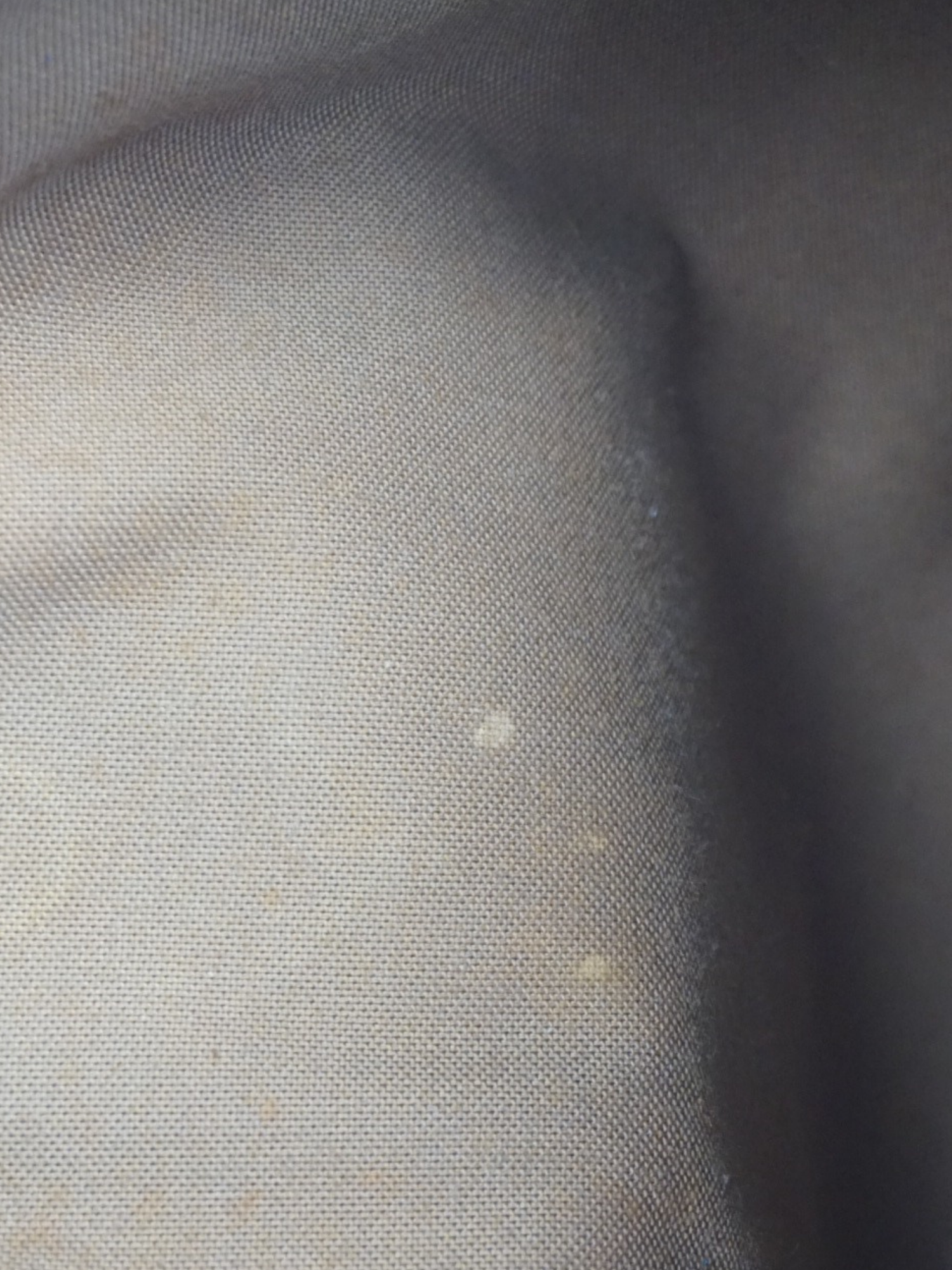 Louis Vuitton Alma monogramme