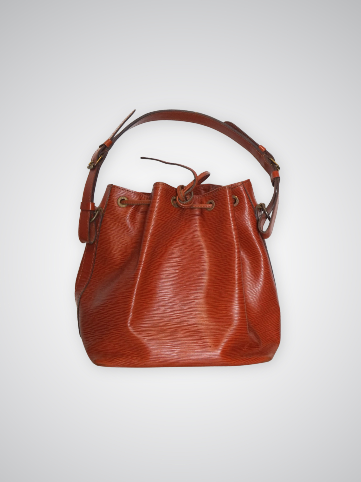 Louis Vuitton Noé PM