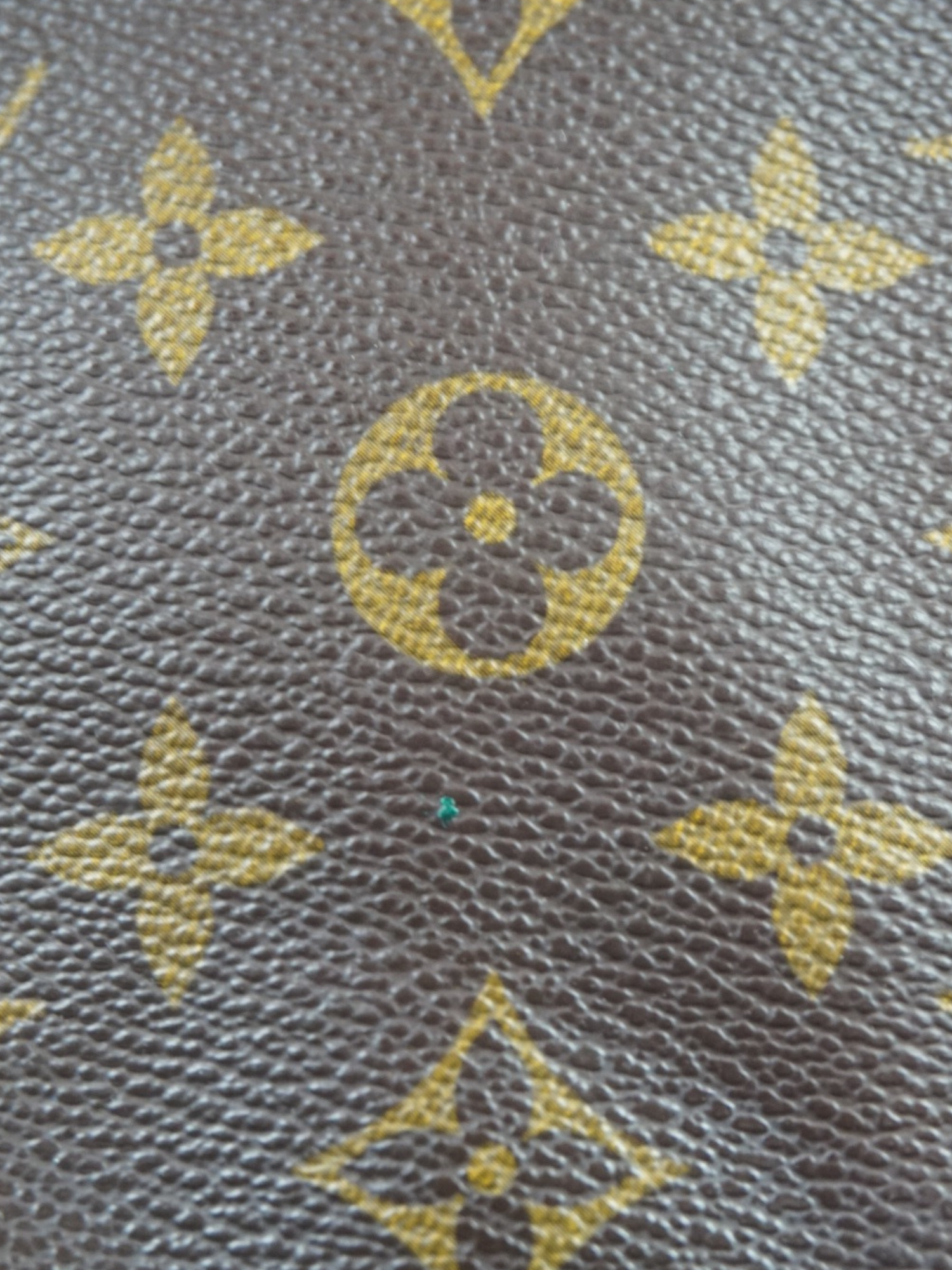 Louis Vuitton Cartouchière