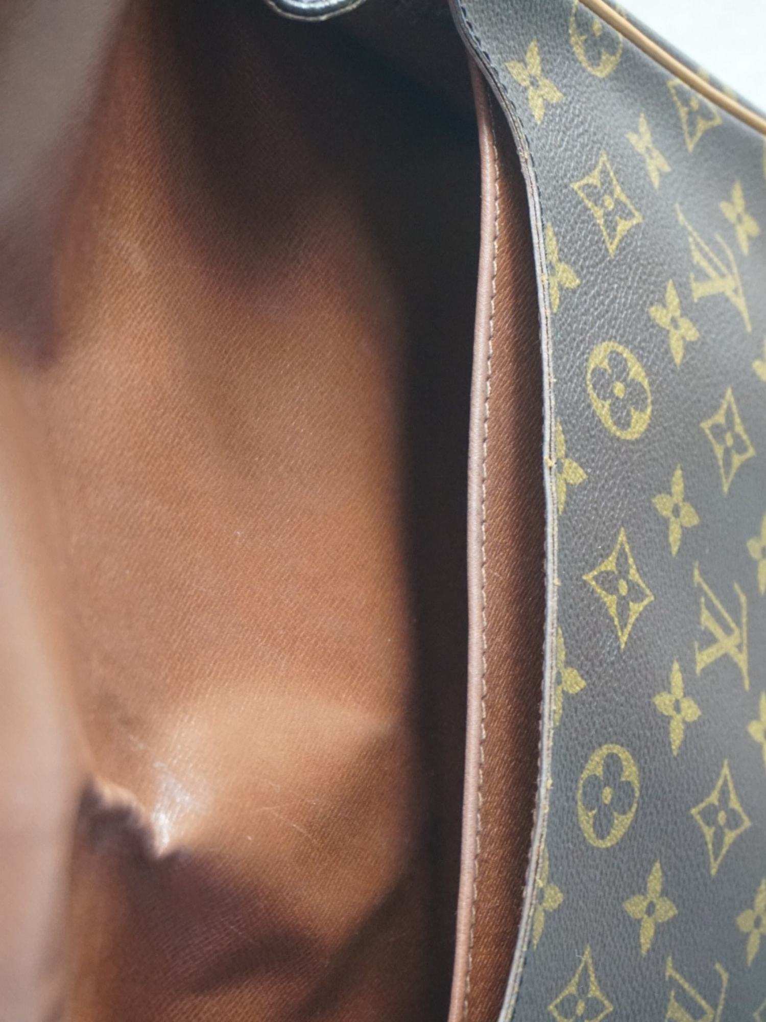 Louis Vuitton Cartouchière
