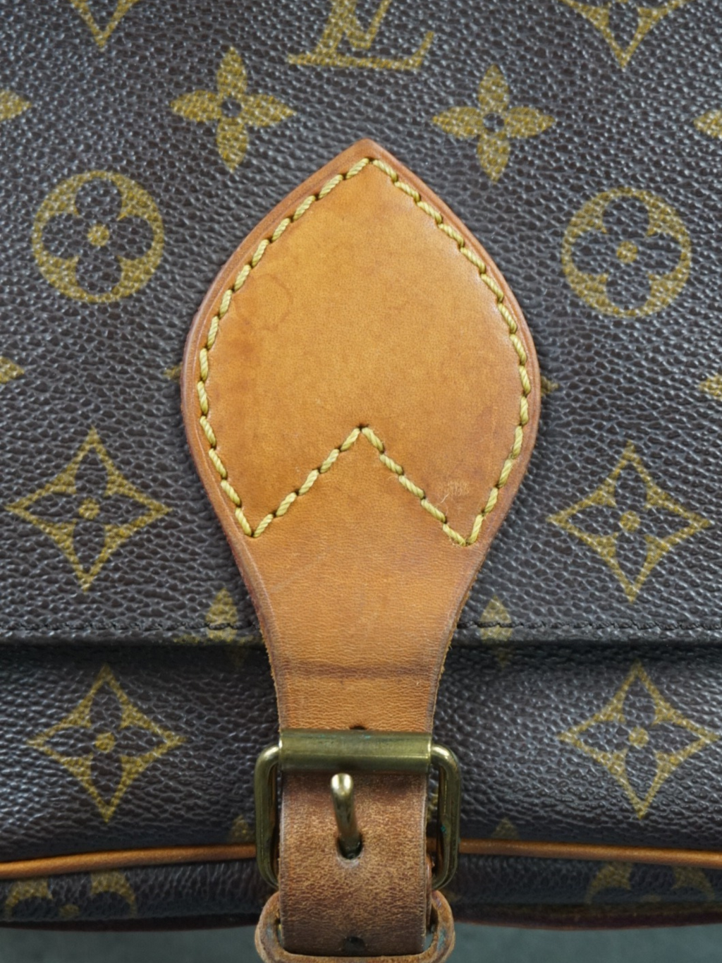 Louis Vuitton Cartouchière