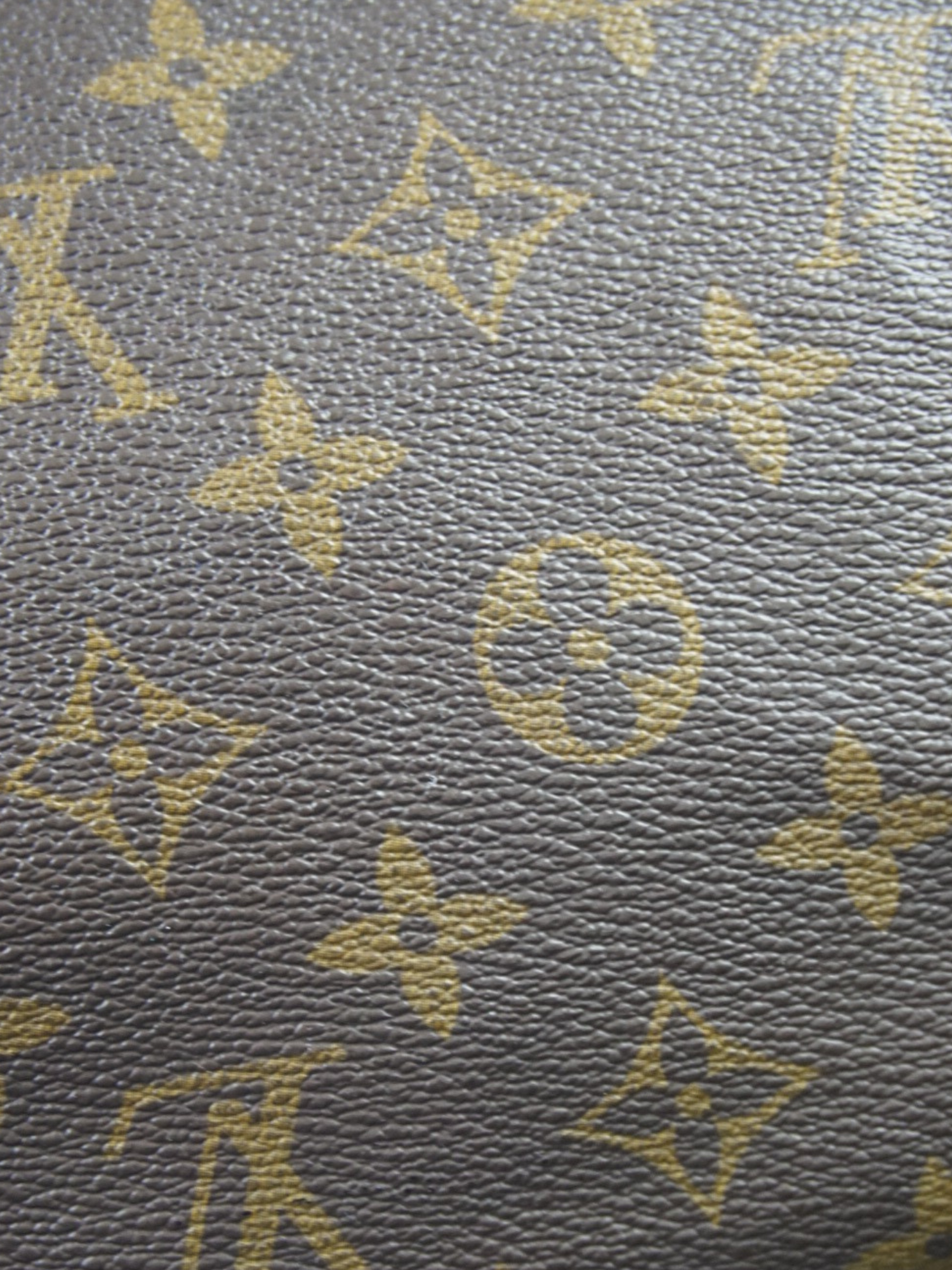 Louis Vuitton Speedy 35