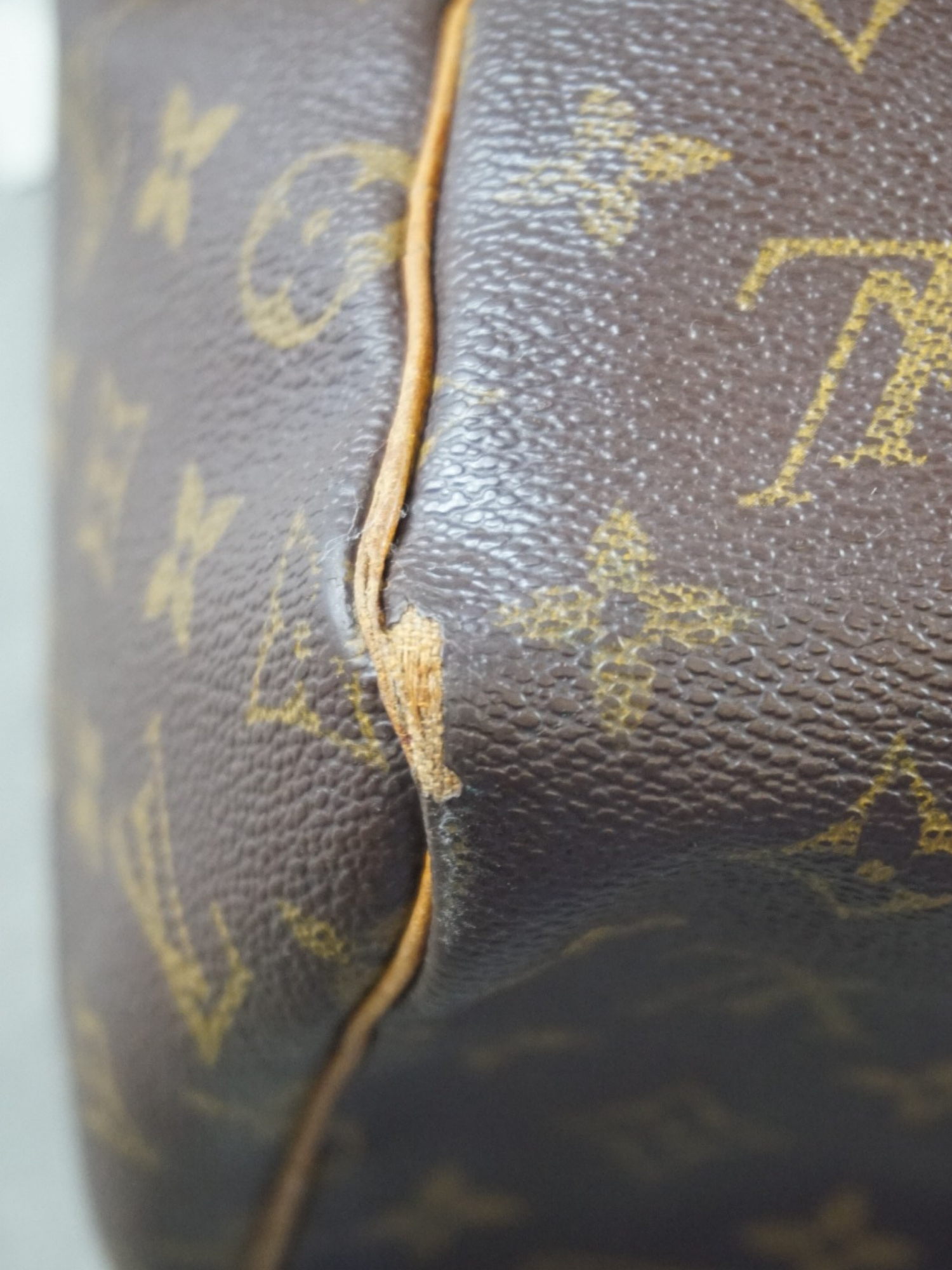 Louis Vuitton Speedy 30