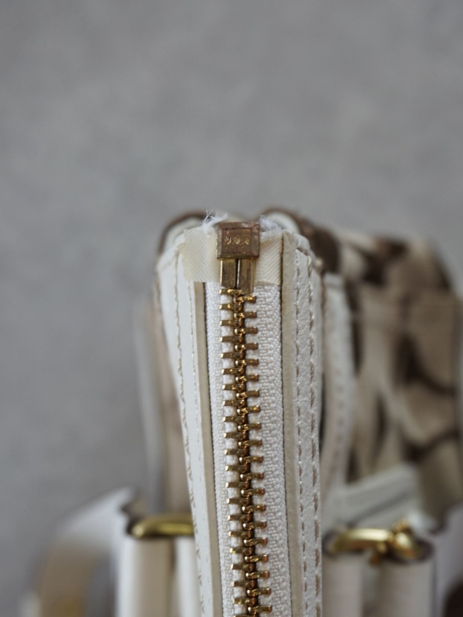 Sac Coach monogramme