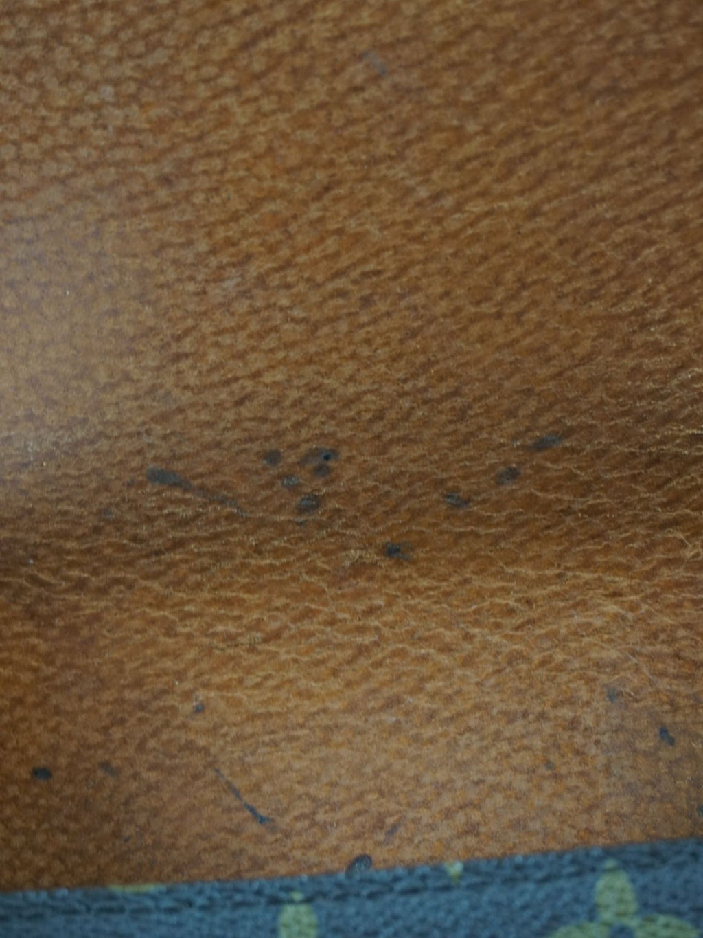 Cartouchière Louis Vuitton