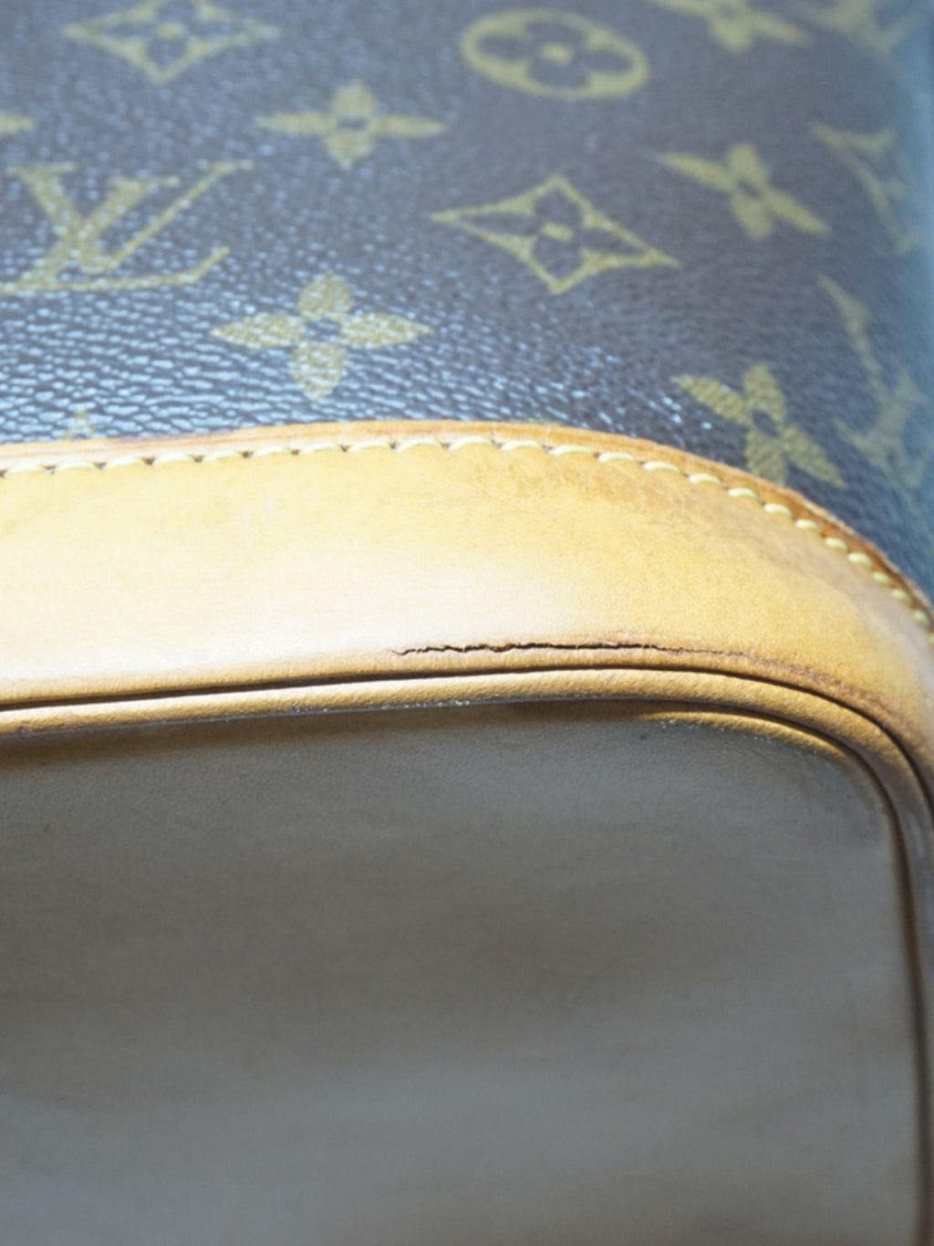 Sac Alma PM monogramme Louis Vuitton